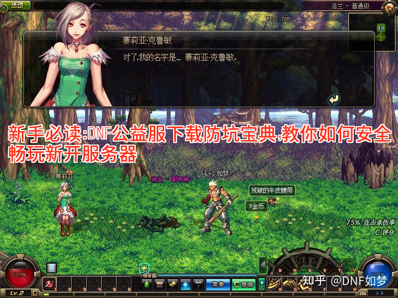 新手必读：DNF公益服下载防坑宝典，教你如何安全畅玩新开服务器