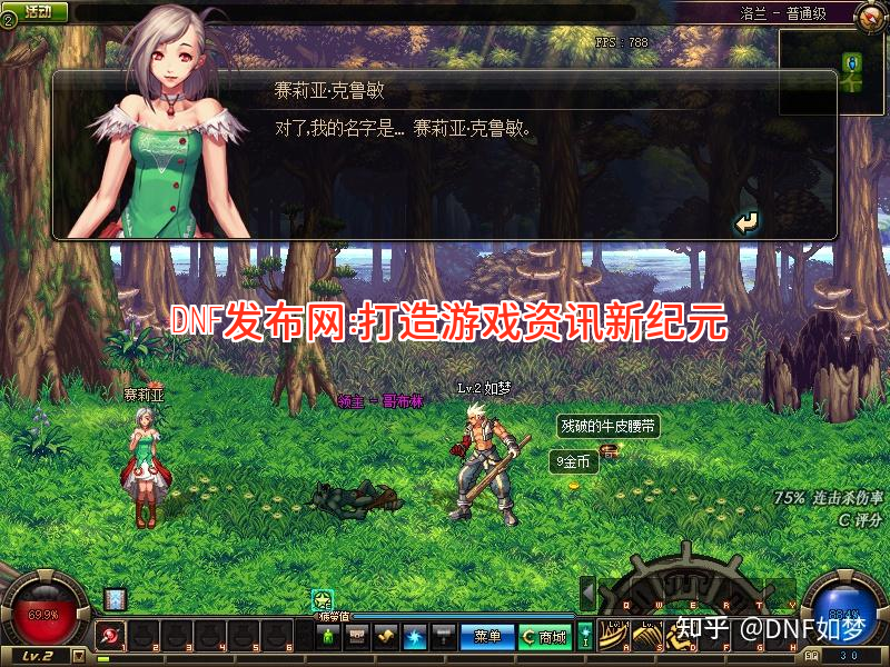 DNF发布网：打造游戏资讯新纪元